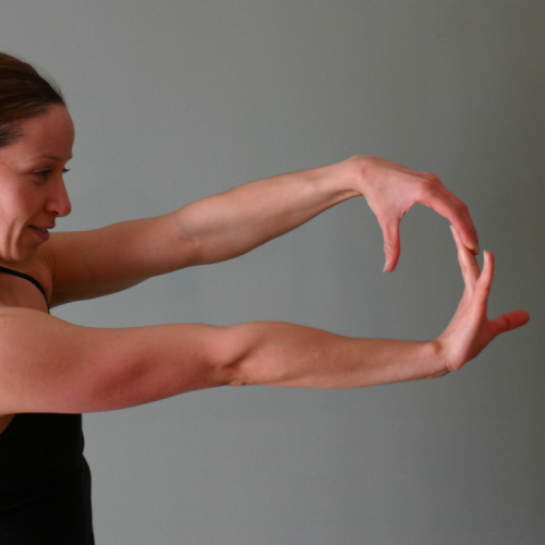 Extensor Forearm Stretch Exercise Technique Definition FreeTrainers