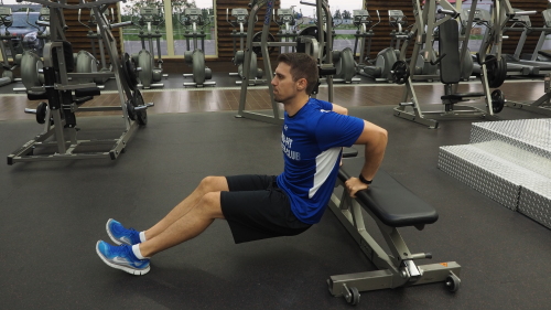 Back dips exercise clearance
