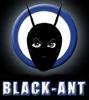 Black-Ant