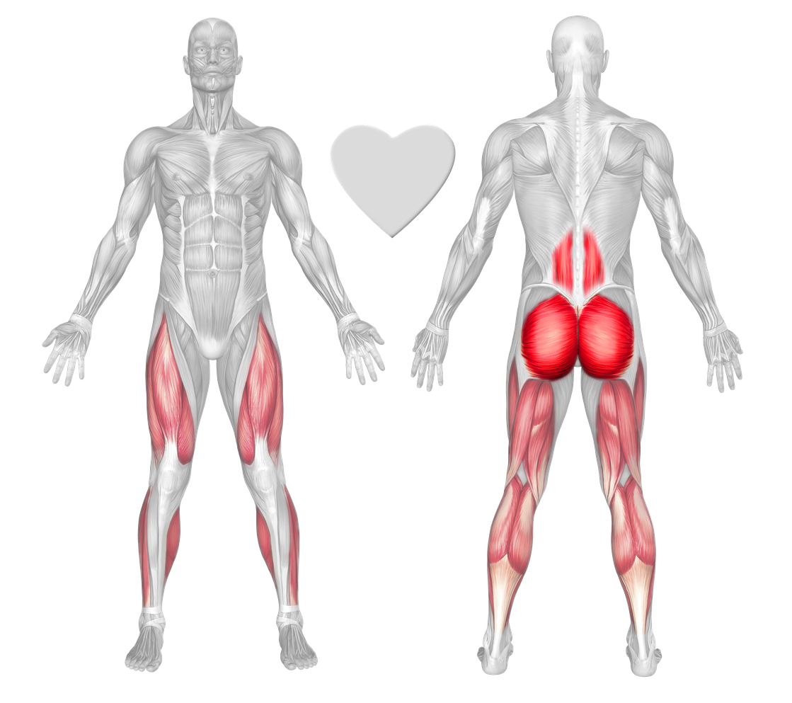 hogyan lehet fogyni a gluteus maximusban)