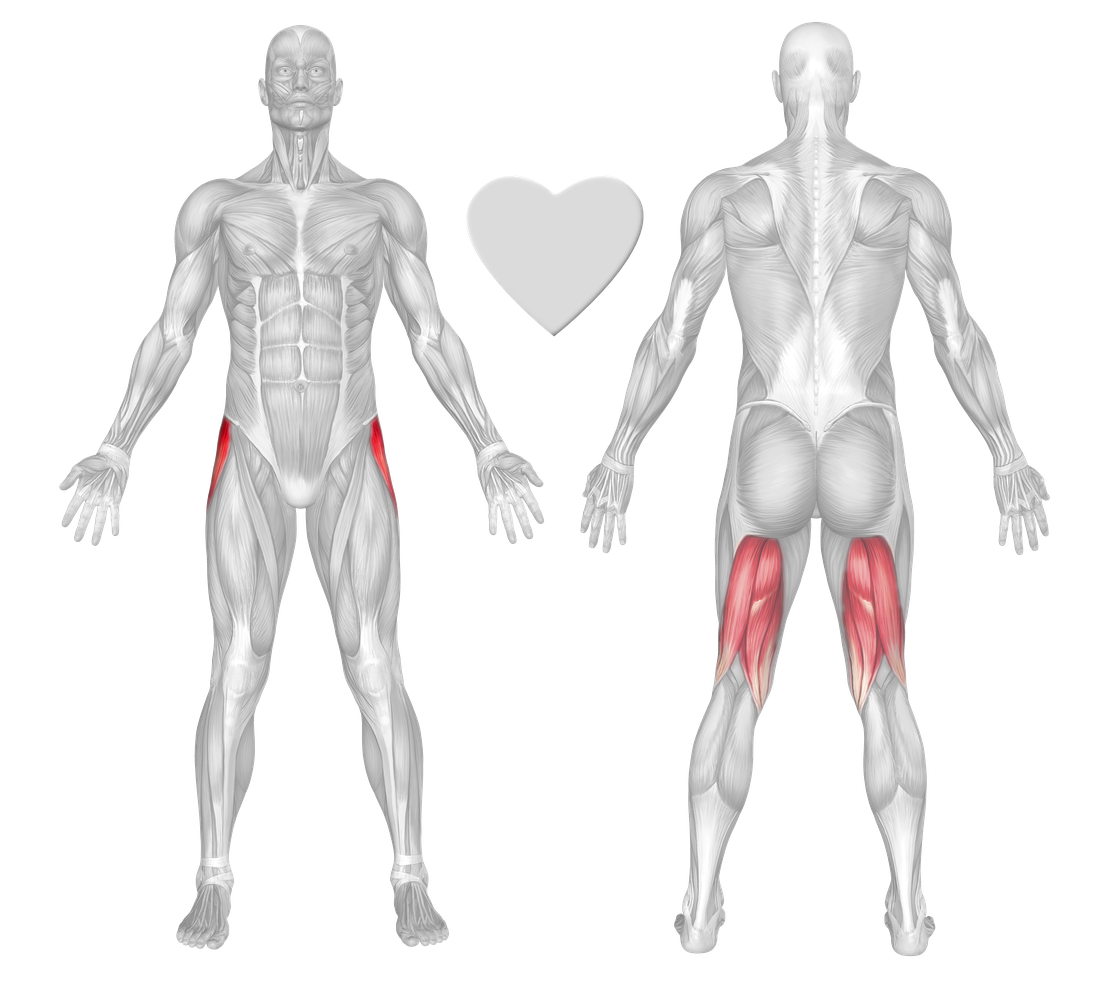 Tensor fasciae latae strengthening cheap