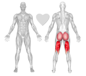 Machine Hamstring Curls Exercise Technique Definition FreeTrainers
